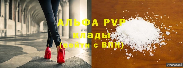 a pvp Пересвет