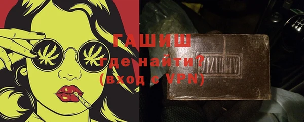 гашик Пестово
