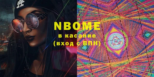 гашик Пестово