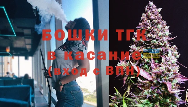 гашик Пестово