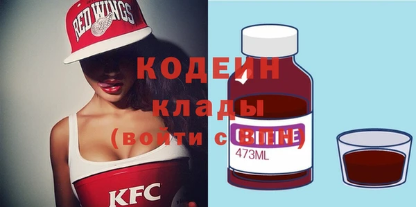 гашик Пестово