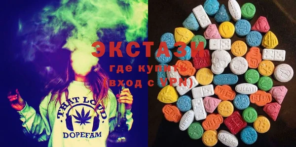 гашик Пестово