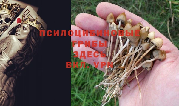 a pvp Пересвет