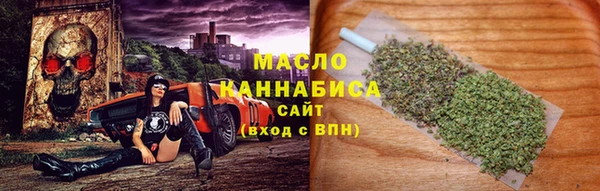 гашик Пестово