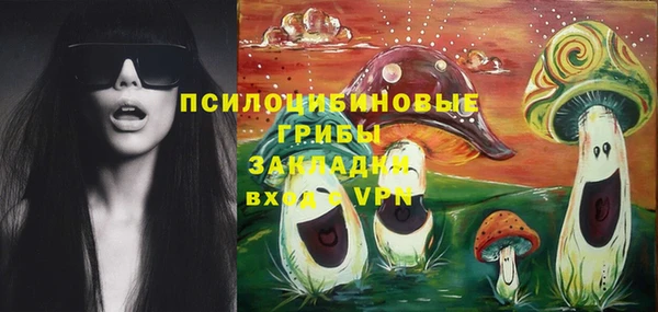 гашик Пестово