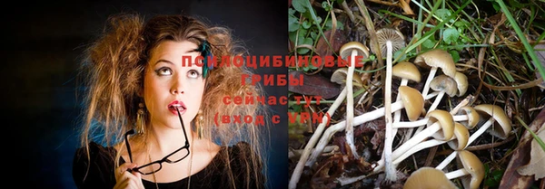 гашик Пестово