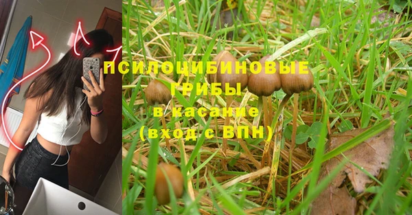 метадон Галич